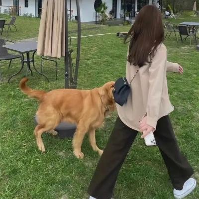 囧男孩看世界